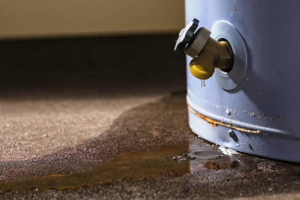 Best Fire Damage Restoration  in Butler, IN