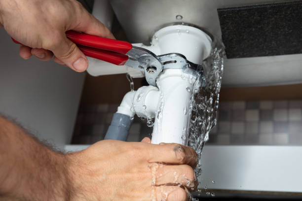 Best Professional water damage repair  in Butler, IN