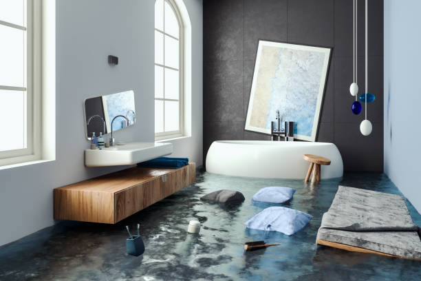 Best Water damage restoration process  in Butler, IN