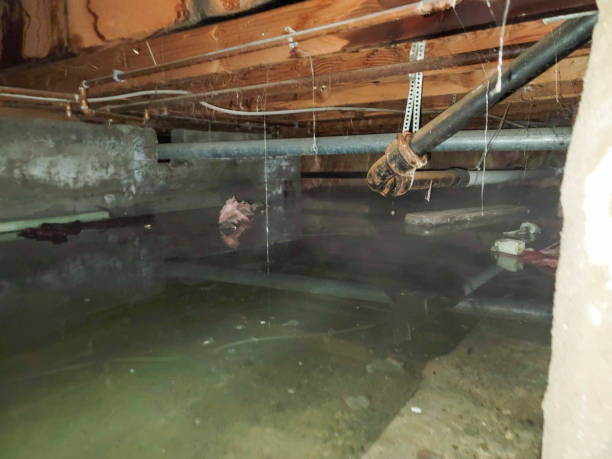 Best Emergency water damage restoration  in Butler, IN