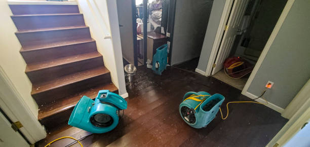 Best Water damage contractors near me  in Butler, IN