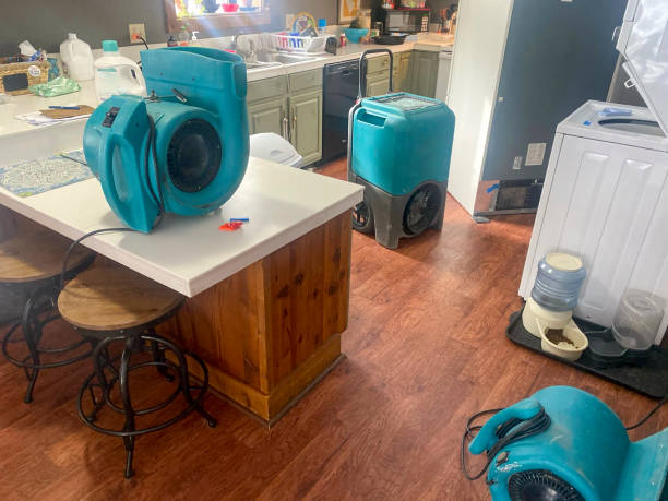 Best 24/7 water damage repair  in Butler, IN