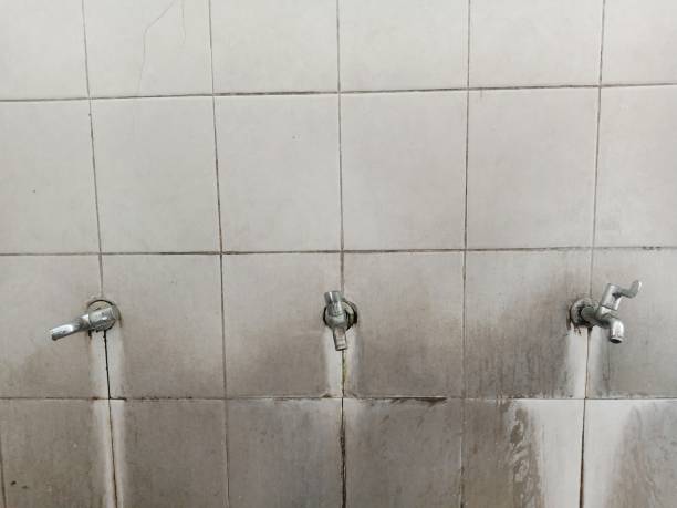 Best Basement water damage restoration  in Butler, IN