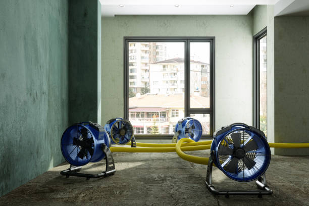 Best Water damage restoration near me  in Butler, IN