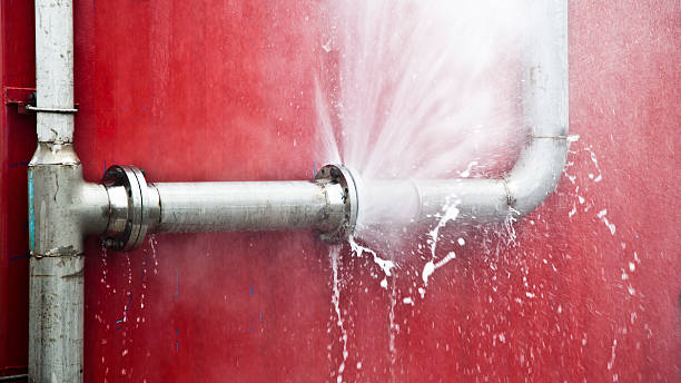 Best Flood damage cleanup  in Butler, IN
